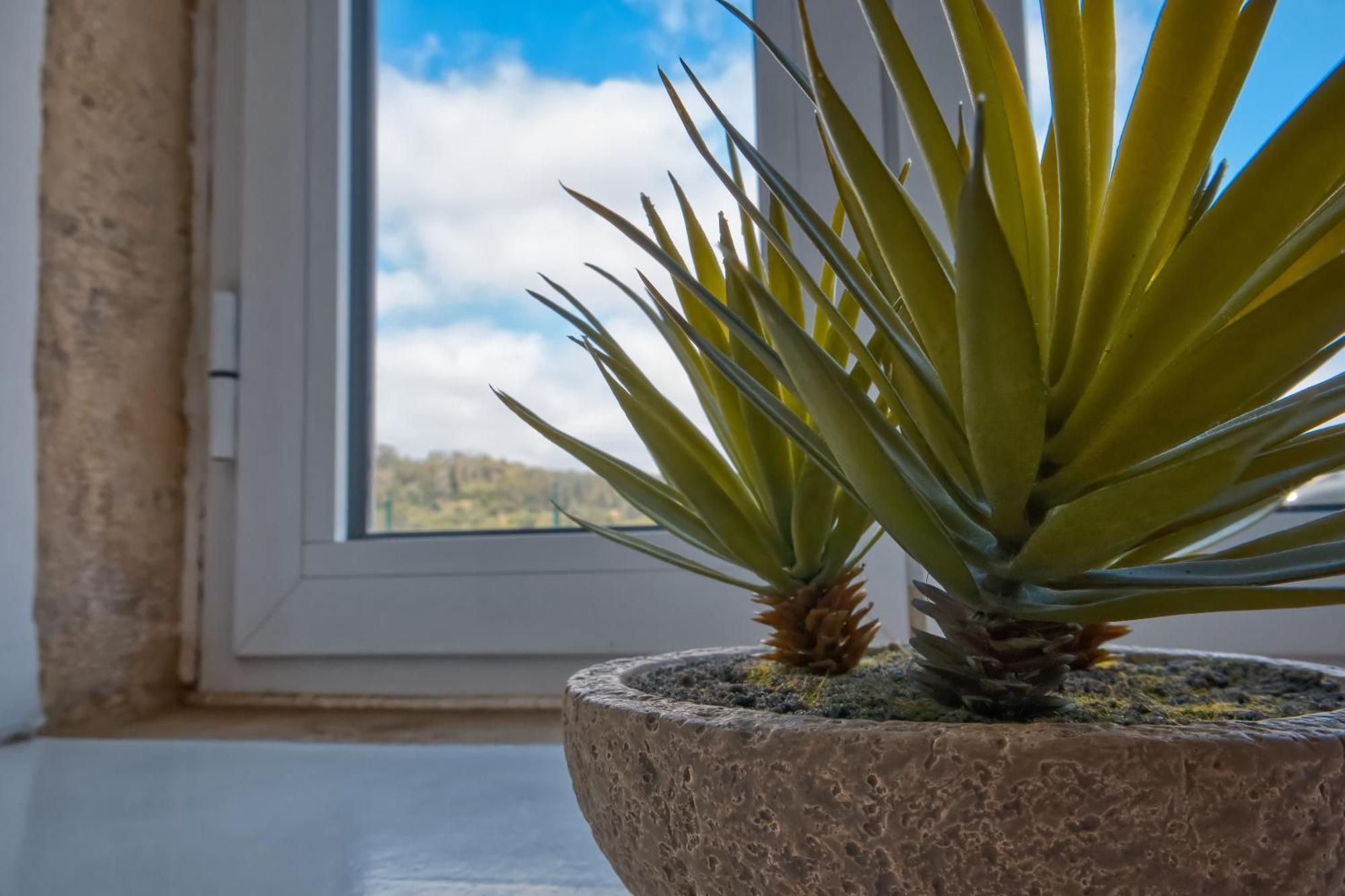 Appartement Portucale ! Stylish Campo Ourique *